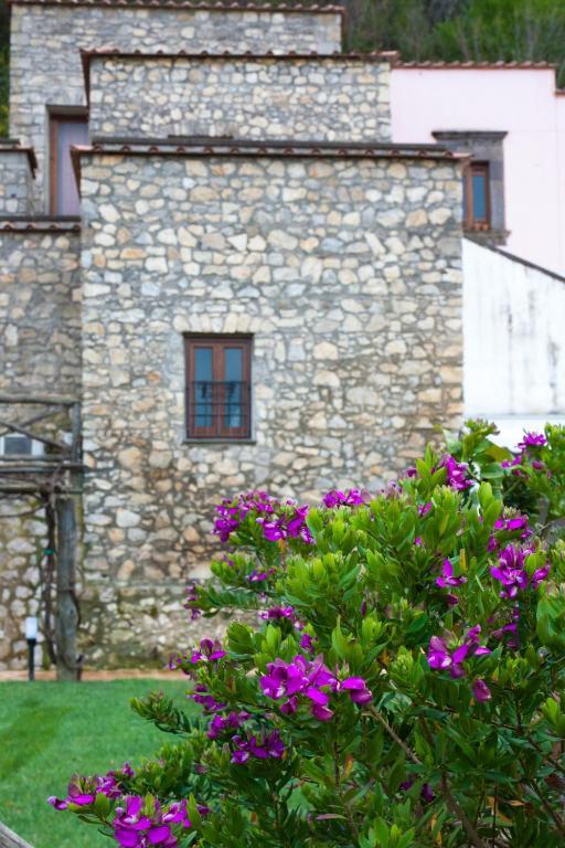 Villa Della Porta - Dimora Storica Vico Equense Quarto foto